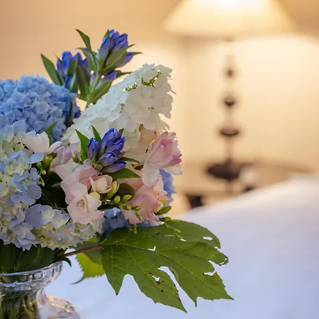 Готель Collina D'oro & Spa, Starhotels Collezione