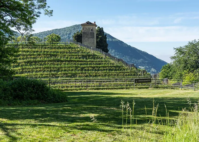 Collina D'oro & Spa, Starhotels Collezione Hotel